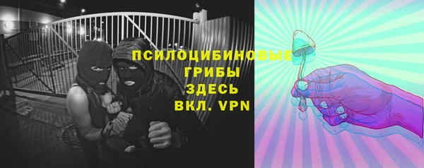 ПСИЛОЦИБИНОВЫЕ ГРИБЫ Алзамай