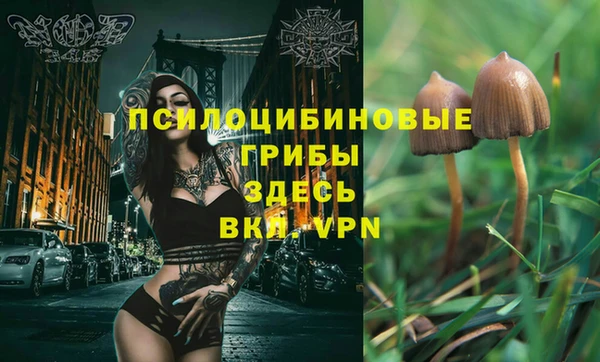 марки lsd Арсеньев