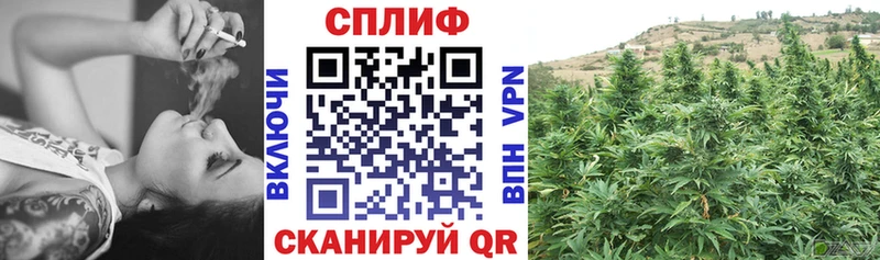 Марихуана гибрид Салехард